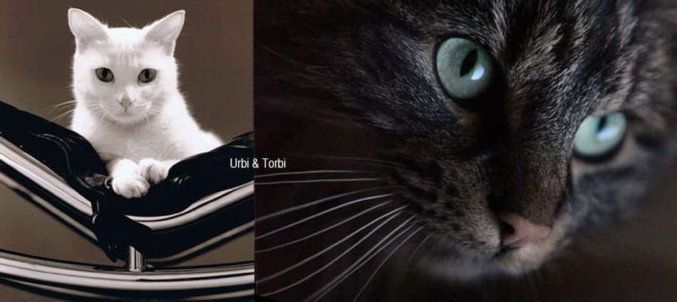 visite virtuelle photographie animalière