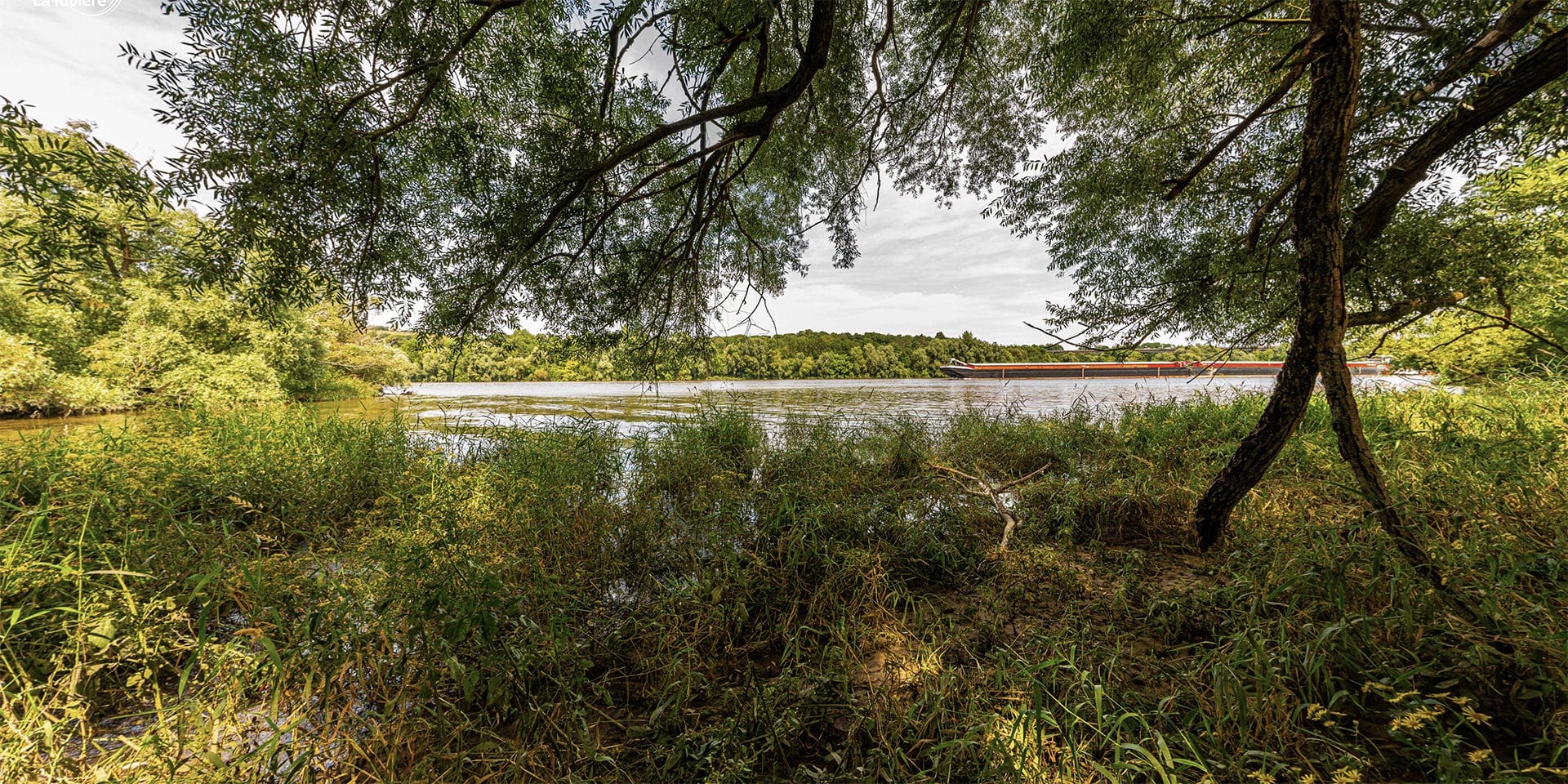 Vue au sol de la Seine depuis l?Île Sainte-Catherine, entre arbres et rivière